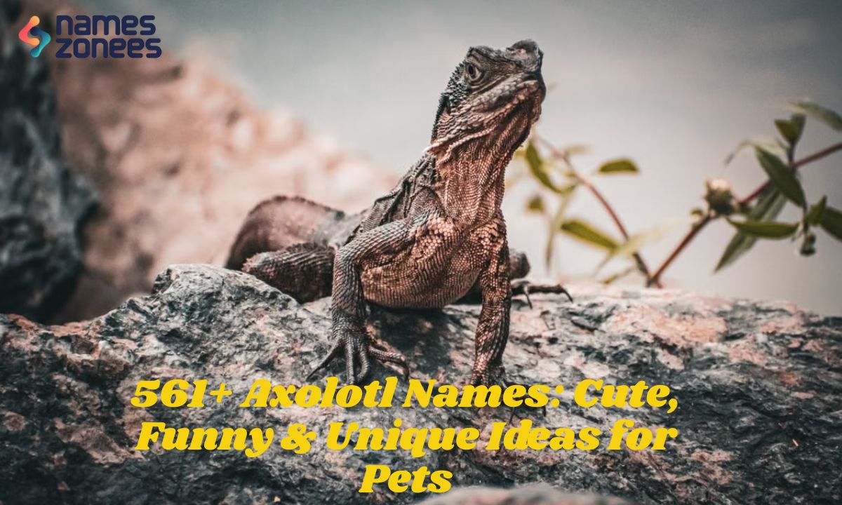 561+ Axolotl Names Cute, Funny & Unique Ideas for Pets