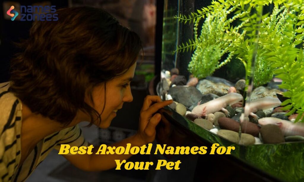 Best Axolotl Names for Your Pet