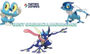 Best Greninja Nicknames: 333+ Cool & Unique Ideas