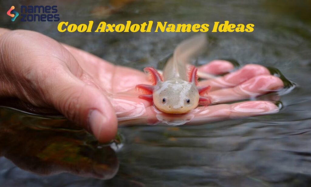 Cool Axolotl Names Ideas