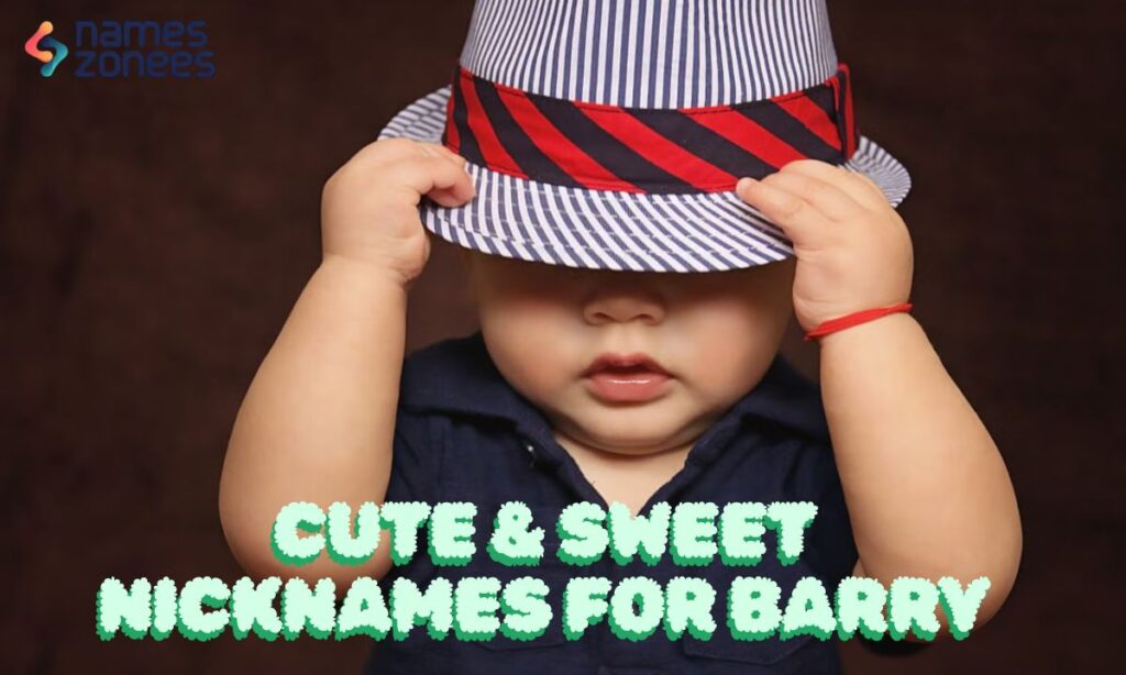 Cool & Stylish Nicknames for Barry