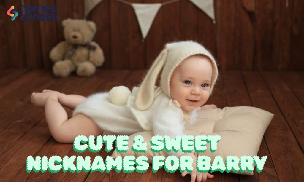 Cute & Sweet Nicknames for Barry