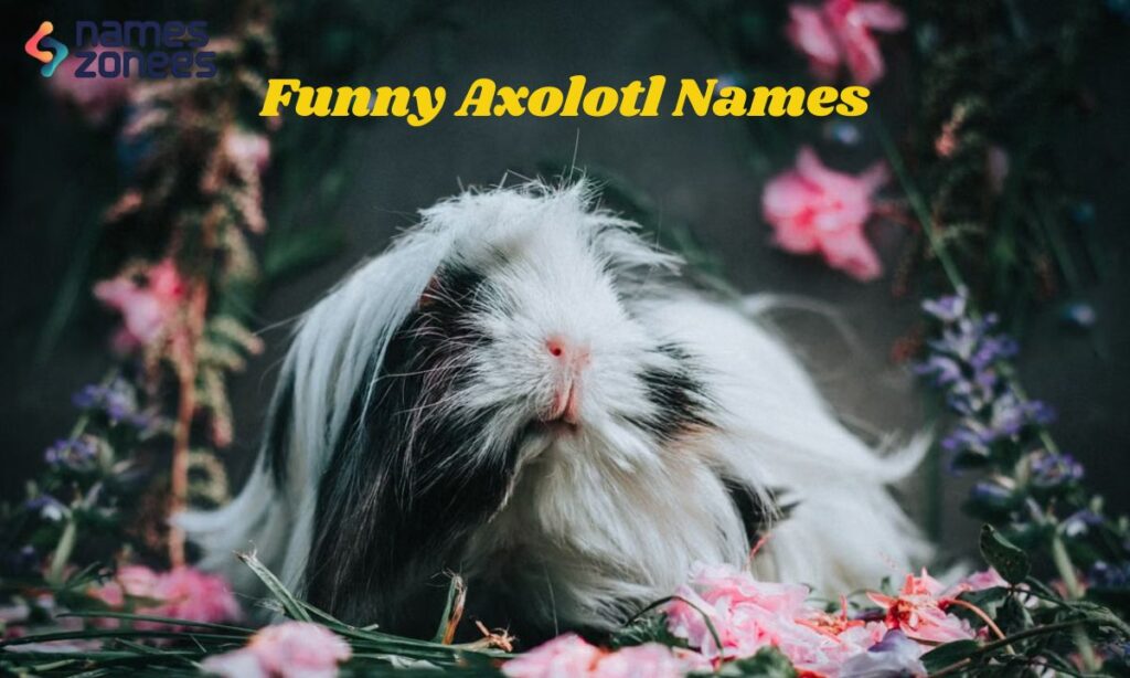 Funny Axolotl Names