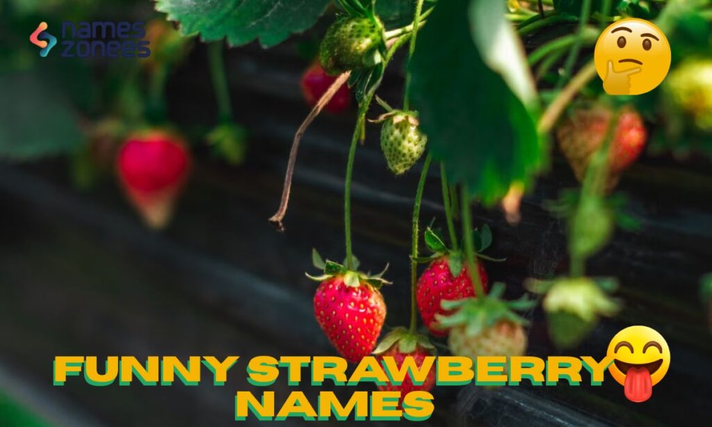 Funny Strawberry Names
