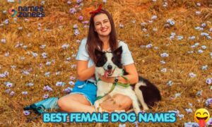 299+ Best Female Dog Names for Your Girl Puppy Cute, Unique & Funny