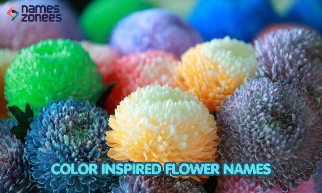 Color Inspired Flower Names
