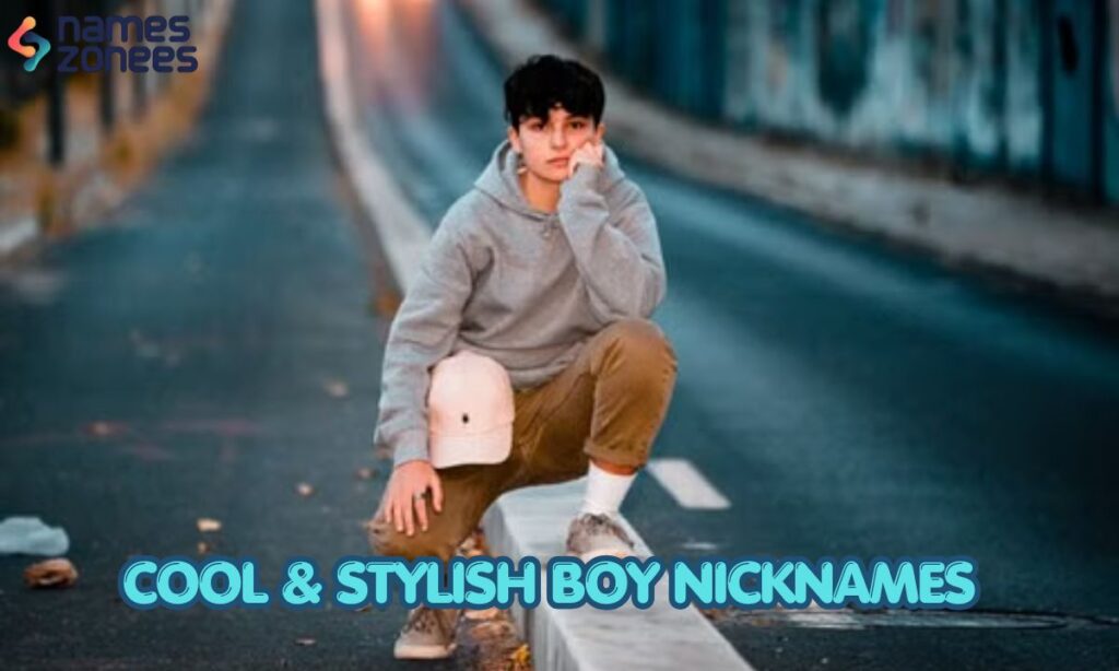 Cool & Stylish Boy Nicknames