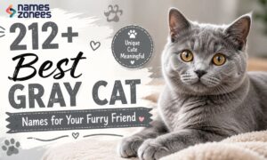 212+ Best Gray Cat Names for Your Furry Friend