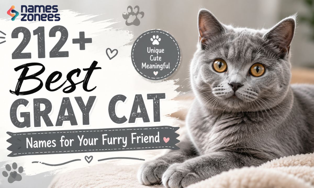 212+ Best Gray Cat Names for Your Furry Friend
