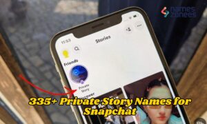335+ Private Story Names for Snapchat