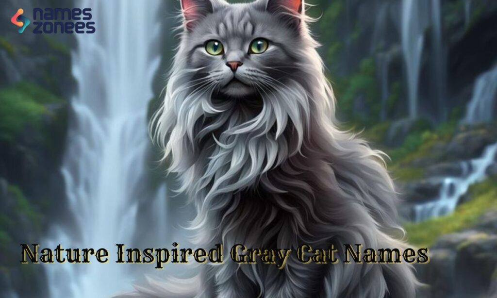 Nature Inspired Gray Cat Names