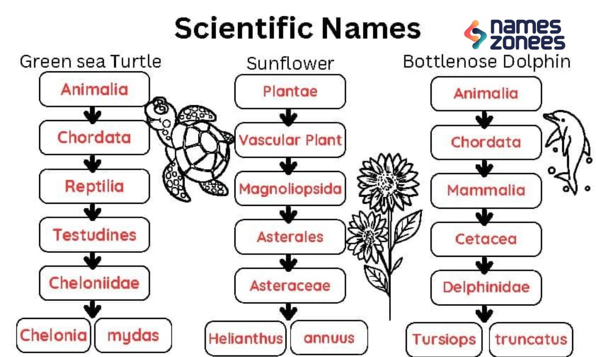 Scientific Names of Animals, Plants & Extinct Species