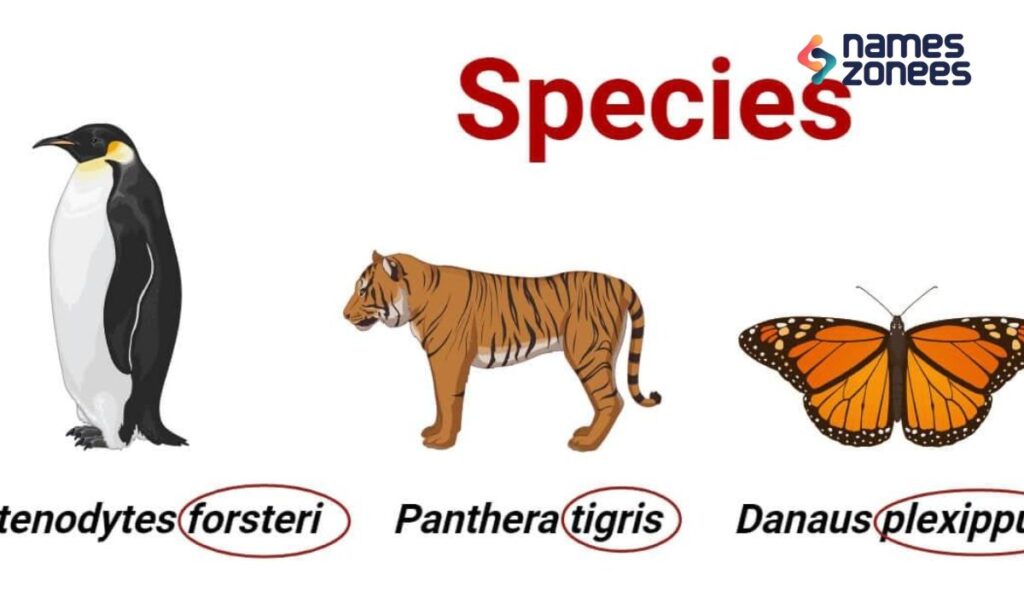 Scientific Names of Plants