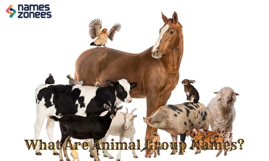 What Are Animal Group Names