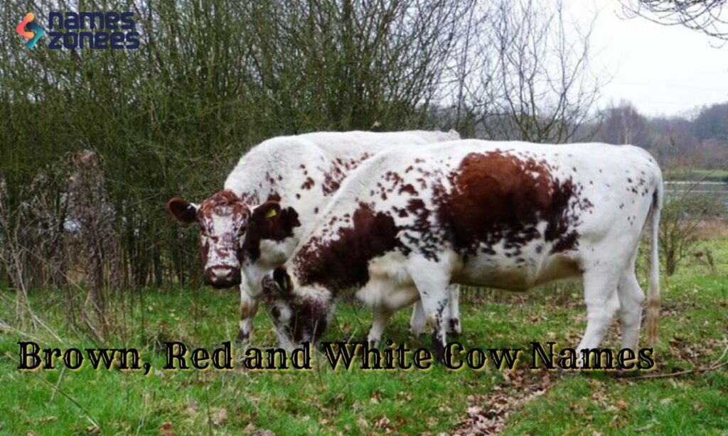 Brown, Red and White Cow Names