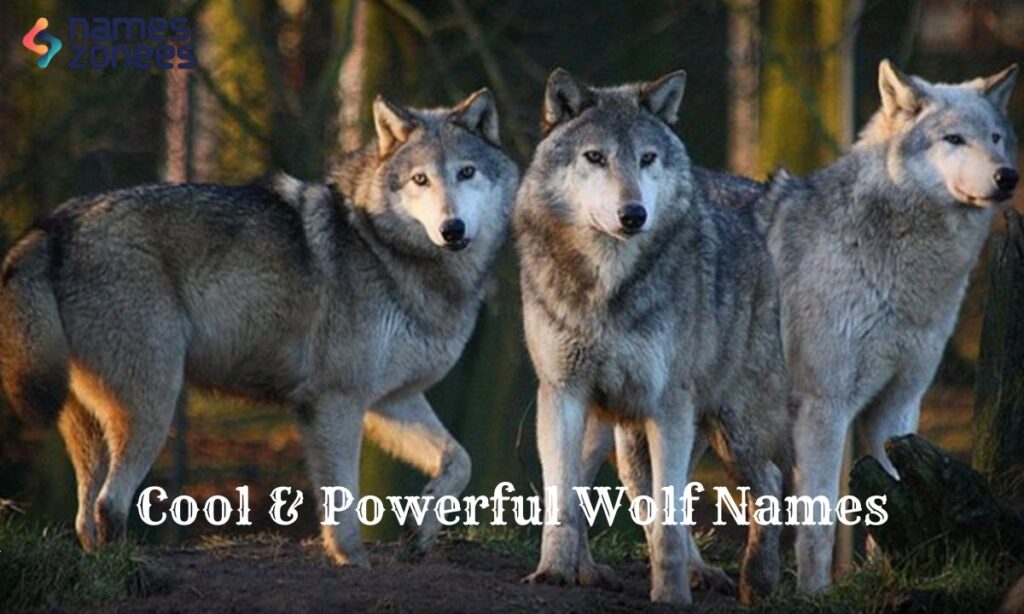 Cool & Powerful Wolf Names