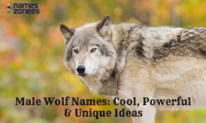 Male Wolf Names: Cool, Powerful & Unique Ideas