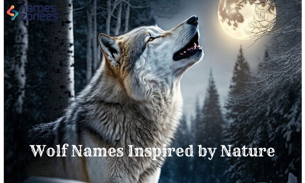 Wolf Names Inspired by Nature